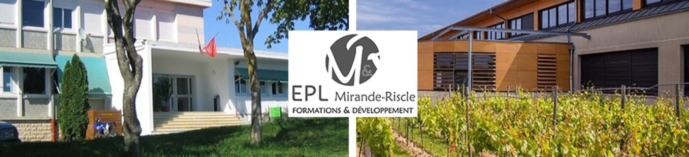 BANDEAU ENT ANAIS PERRIER format image.jpg